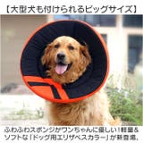 エリザベスカラー 大型犬 中型犬 | BACKYARD FAMILY | 詳細画像2