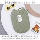 ペットウェア 暖かいベスト | BACKYARD FAMILY | 詳細画像6