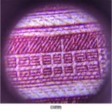 ルーペ LEDライト付き 虫眼鏡 | BACKYARD FAMILY | 詳細画像17 