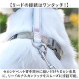ペット用 犬猫 ハーネス リードセット | BACKYARD FAMILY | 詳細画像7 