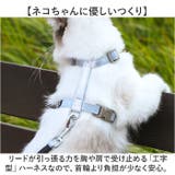 ペット用 犬猫 ハーネス リードセット | BACKYARD FAMILY | 詳細画像9 
