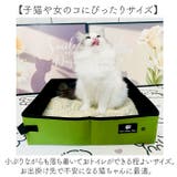携帯猫トイレ 折りたたみ | BACKYARD FAMILY | 詳細画像8