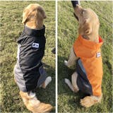 犬 レインコートフリース 防寒 l xl | BACKYARD FAMILY | 詳細画像3 