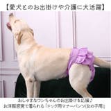 マナーパンツ サニタリー パンツ 犬 メス | BACKYARD FAMILY | 詳細画像2