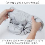 マナーパンツ サニタリー パンツ 犬 メス | BACKYARD FAMILY | 詳細画像9