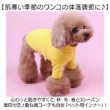 Tシャツ カットソー インナー秋冬 ドッグウェア | BACKYARD FAMILY | 詳細画像2