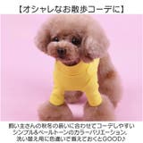 Tシャツ カットソー インナー秋冬 ドッグウェア | BACKYARD FAMILY | 詳細画像9