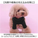 Tシャツ カットソー インナー秋冬 ドッグウェア | BACKYARD FAMILY | 詳細画像10