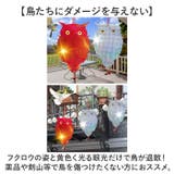 鳥よけ ガラス対策 防鳥 | BACKYARD FAMILY | 詳細画像9 