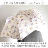 because ビコーズ 晴雨兼用 折りたたみ傘 | BACKYARD FAMILY | 詳細画像4 