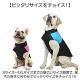 ペット 防寒 ジャケット ハーネス 反射 小型犬 大型犬 | BACKYARD FAMILY | 詳細画像11 