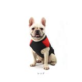 ペット 防寒 ジャケット ハーネス 反射 小型犬 大型犬 | BACKYARD FAMILY | 詳細画像18 