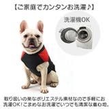 ペット 防寒 ジャケット ハーネス 反射 小型犬 大型犬 | BACKYARD FAMILY | 詳細画像10 
