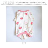 犬 ペット 術後服 かわいい 春秋冬 | BACKYARD FAMILY | 詳細画像13 