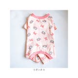 犬 ペット 術後服 かわいい 春秋冬 | BACKYARD FAMILY | 詳細画像15 