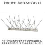 鳥よけスパイク ステンレス製 | BACKYARD FAMILY | 詳細画像2 