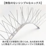 鳥よけスパイク ステンレス製 | BACKYARD FAMILY | 詳細画像7 