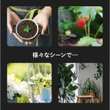 土壌 測定器 4in1 | BACKYARD FAMILY | 詳細画像3