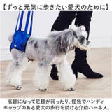 犬 介護用ハーネス 後足用 歩行補助 | BACKYARD FAMILY | 詳細画像3 