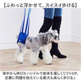 犬 介護用ハーネス 後足用 歩行補助 | BACKYARD FAMILY | 詳細画像7 