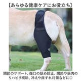 犬 サポーター 前足後足左右兼用 | BACKYARD FAMILY | 詳細画像3 