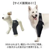 犬 サポーター 前足後足左右兼用 | BACKYARD FAMILY | 詳細画像8 