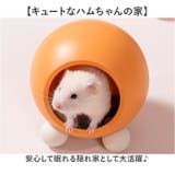 ハムスター お部屋 隠れ家 | BACKYARD FAMILY | 詳細画像2