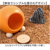 ハムスター お部屋 隠れ家 | BACKYARD FAMILY | 詳細画像5