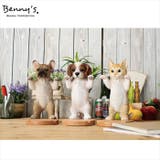 アニマルスタンド | BACKYARD FAMILY | 詳細画像13 