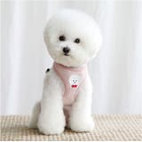 ハーネス 犬 リード 小型犬 可愛い | BACKYARD FAMILY | 詳細画像4 