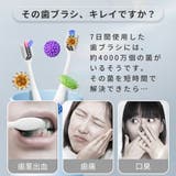 UV歯ブラシ除菌器 | BACKYARD FAMILY | 詳細画像3 