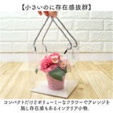 ブリキアレンジ | BACKYARD FAMILY | 詳細画像6 