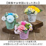 ブリキアレンジ | BACKYARD FAMILY | 詳細画像7 