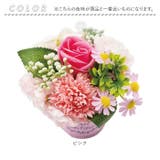 ブリキアレンジ | BACKYARD FAMILY | 詳細画像10 