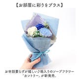 カントリー | BACKYARD FAMILY | 詳細画像2 