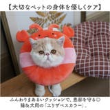 エリザベスカラー 猫用 犬用 | BACKYARD FAMILY | 詳細画像2