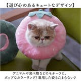 エリザベスカラー 猫用 犬用 | BACKYARD FAMILY | 詳細画像13