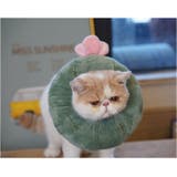 エリザベスカラー 猫用 犬用 | BACKYARD FAMILY | 詳細画像5