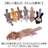 ペット おもちゃ ぬいぐるみ | BACKYARD FAMILY | 詳細画像2