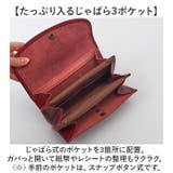 alto. Hオイルヌメ ジャバラロングウォレット | BACKYARD FAMILY | 詳細画像6 