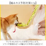 犬 おもちゃ 音の出る ぬいぐるみ S | BACKYARD FAMILY | 詳細画像6 