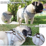 bl884 ハーネス リード セット ペット用品 | BACKYARD FAMILY | 詳細画像3 