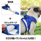 bl884 ハーネス リード セット ペット用品 | BACKYARD FAMILY | 詳細画像4 
