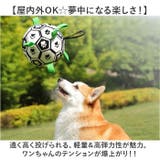 犬用 サッカーボール おもちゃ 空気入れ付き | BACKYARD FAMILY | 詳細画像3