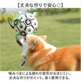 犬用 サッカーボール おもちゃ 空気入れ付き | BACKYARD FAMILY | 詳細画像6