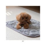 プレミアムフランネルペットパッド M | BACKYARD FAMILY | 詳細画像12
