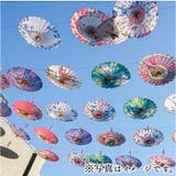 和傘 撮影用 インテリア 和風 | BACKYARD FAMILY | 詳細画像4