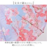 和傘 撮影用 インテリア 和風 | BACKYARD FAMILY | 詳細画像6