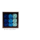 フレグランス | BACKYARD FAMILY | 詳細画像16 