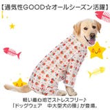 中大型犬の服 春夏秋冬 | BACKYARD FAMILY | 詳細画像2